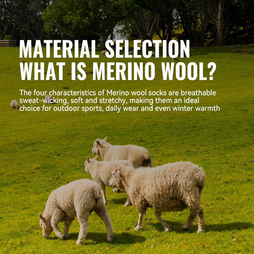 WRELS 1/2/3 Merino Wool Socks  - Thermal Sock Winter 评论和价格